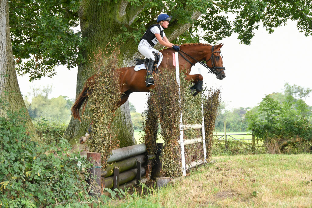 Horse jumping a hedge jump at a competition